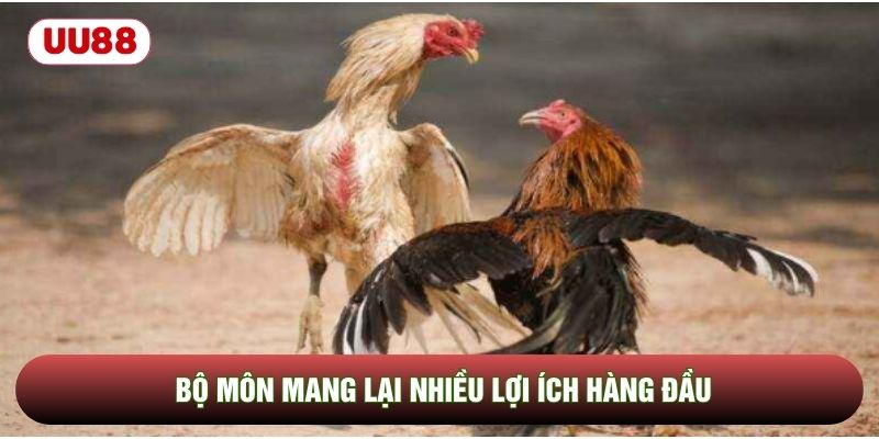 Bộ môn mang lại nhiều lợi ích hàng đầu Bộ môn mang lại nhiều lợi ích hàng đầu