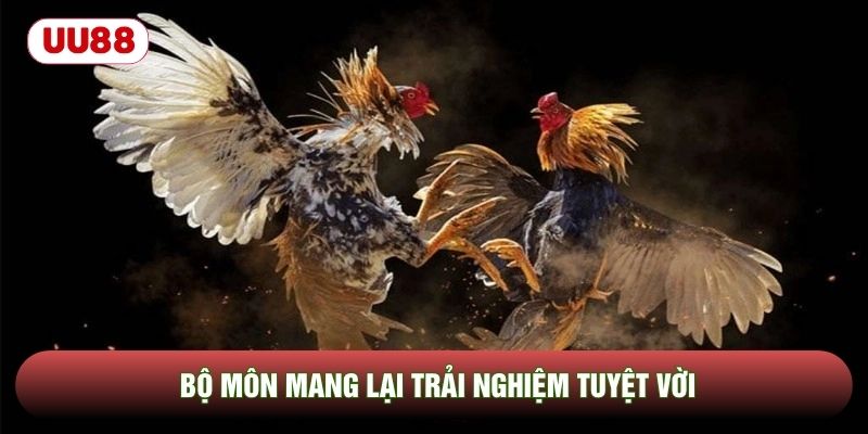 Bộ môn mang lại trải nghiệm tuyệt vời Bộ môn mang lại trải nghiệm tuyệt vời