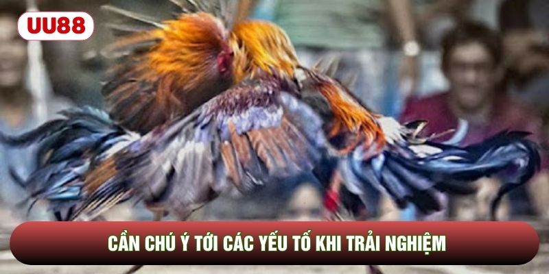Cần chú ý tới các yếu tố khi trải nghiệm Cần chú ý tới các yếu tố khi trải nghiệm