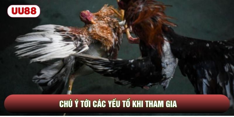 Chú ý tới các yếu tố khi tham gia Chú ý tới các yếu tố khi tham gia