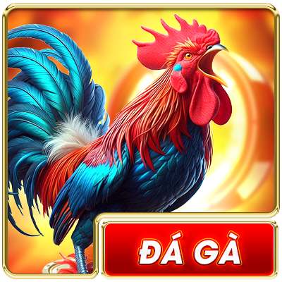 Đá gà UU88