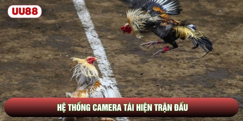 Hệ thống camera tái hiện trận đấu