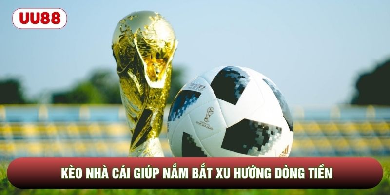 Kèo nhà cái giúp nắm bắt xu hướng dòng tiền Kèo nhà cái giúp nắm bắt xu hướng dòng tiền