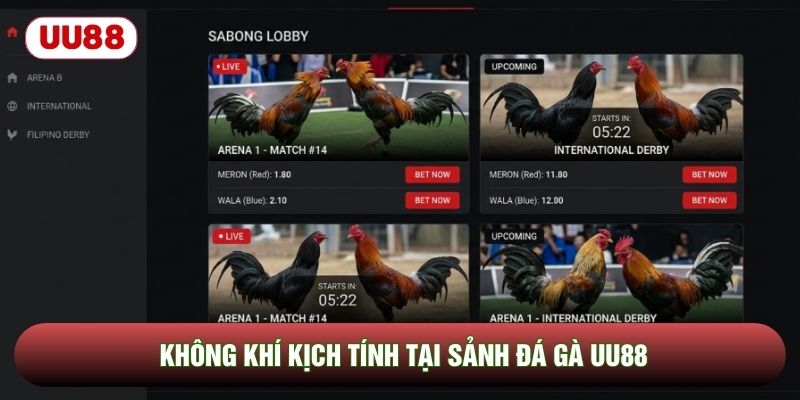 Không khí kịch tính tại sảnh đá gà UU88