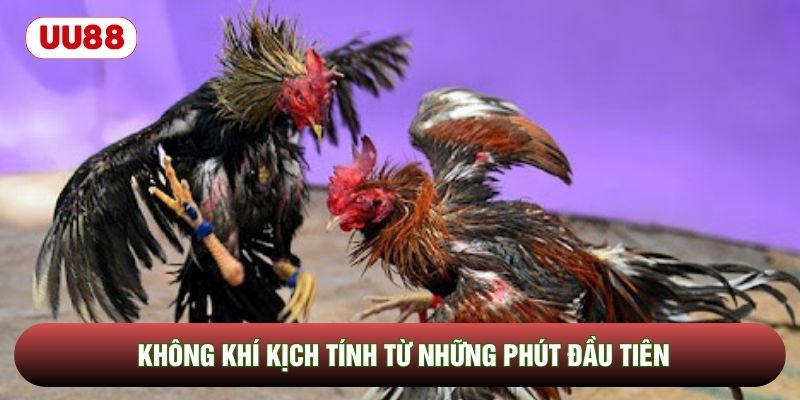 Không khí kịch tính từ những phút đầu tiên Không khí kịch tính từ những phút đầu tiên