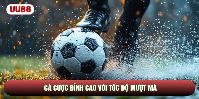 Cá cược đỉnh cao với tốc độ mượt mà