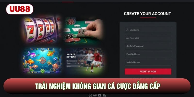 Trải nghiệm không gian cá cược đẳng cấp