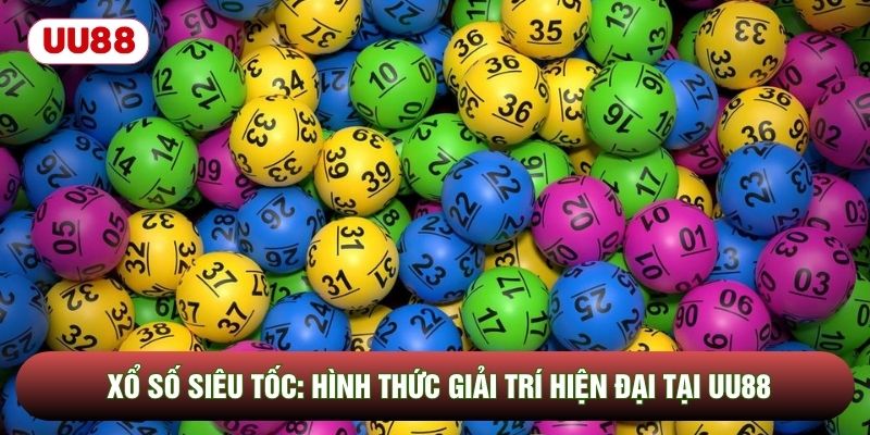 Loại hình sở hữu cấu trúc giao diện trực quan