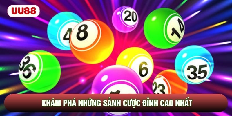 Khám phá những sảnh cược đỉnh cao nhất